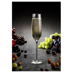 Quinn 4pk Champagne Glass - BULK ITEM