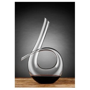 Quinn Loop Wine Decanter - BULK ITEM