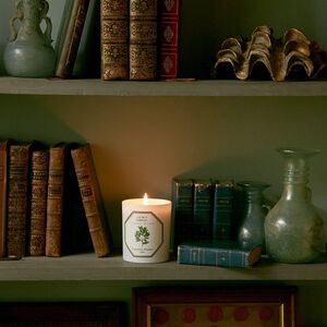 Bay Laurel Candle 185g