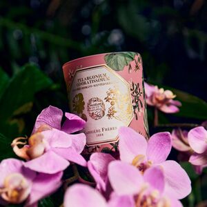 Museum Geranium Candle 185gm