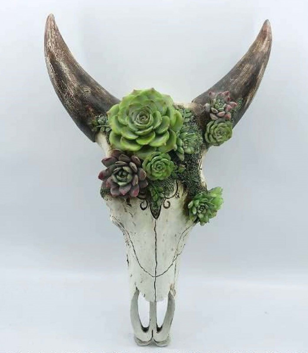 Goat skull with succulent - Large