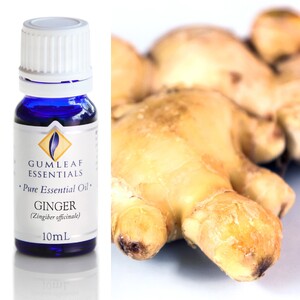 GINGER ESSENTIAL OIL