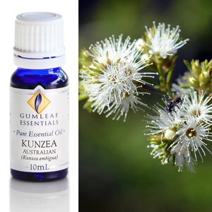 KUNZEA AUSTRALIAN ESSENTIAL OIL