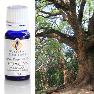 HO WOOD ESSENTIAL OIL