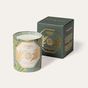 Museum Absinthe Candle 185gm