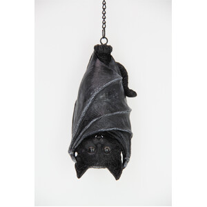 17cm Cat Hanging in Bat Wings