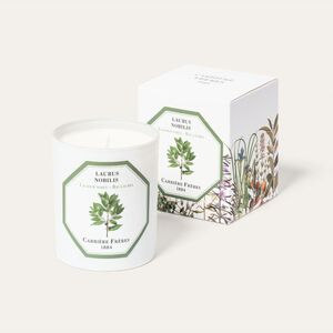 Bay Laurel Candle 185g