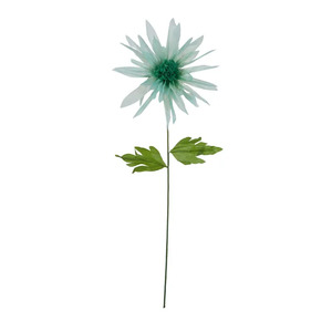 Daisy Paper Flower 25x75cm Mint