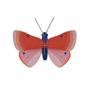 Studio Roof: Wall Art Butterflies (B7) - Speckled Copper Butterfly